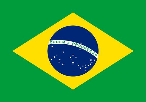 brazil-flag-small.jpg