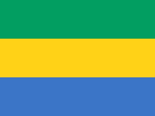 gabon-flag-small.jpg