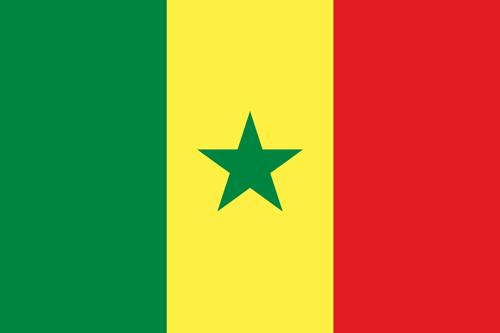 senegal-flag-small.jpg