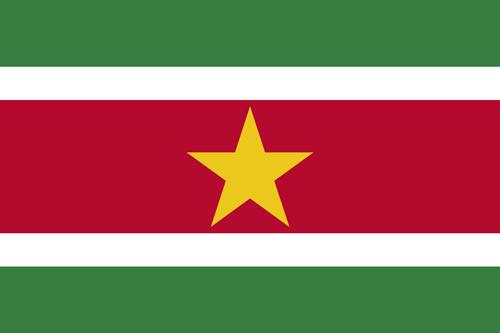 suriname-flag-small.jpg