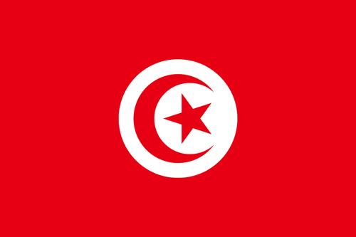 tunisia-flag-small.jpg